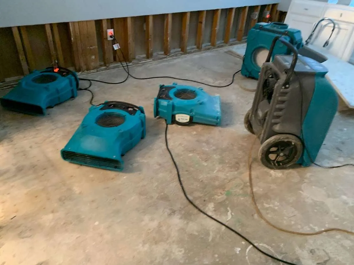 Water Damage Restoration services in Homestead, FL